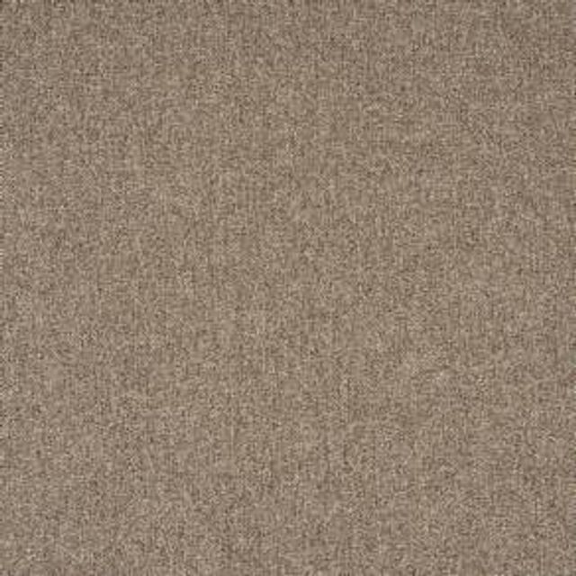 Prestigious Textiles Flynn Flynn Pinecone