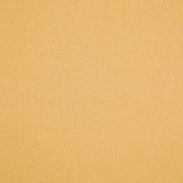 Prestigious Textiles Portreath Portreath Maize