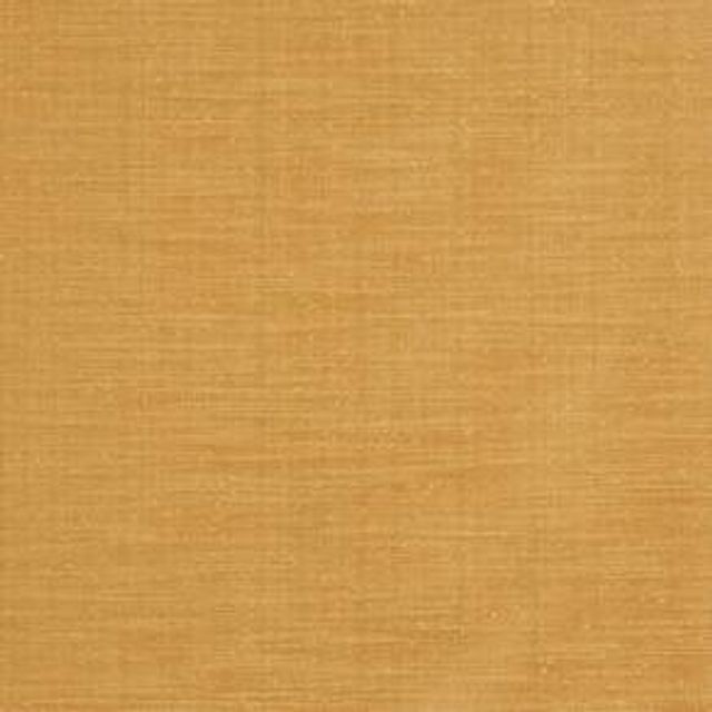 Prestigious Textiles Tussah Tussah Sienna
