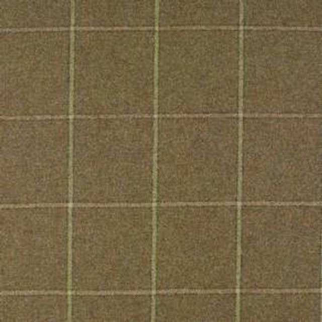 Abraham Moon Legacy Kingham Lichen