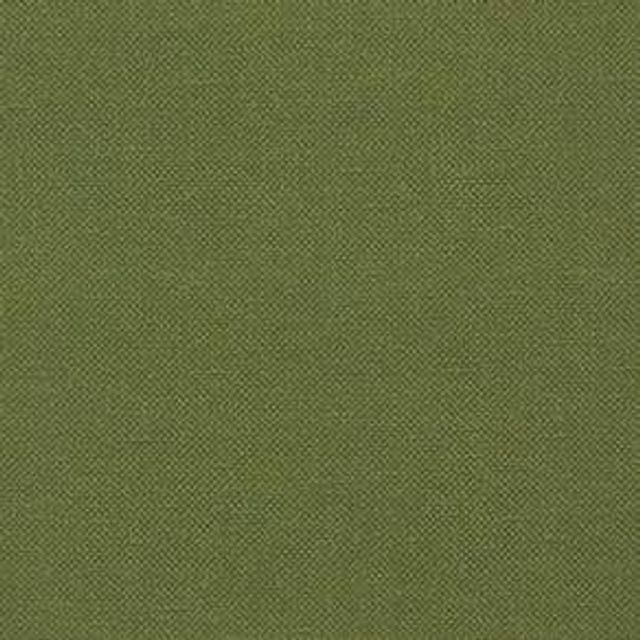 Studio G Renzo Renzo Forest