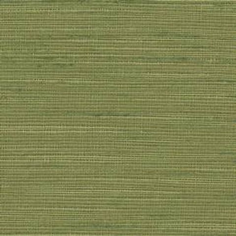 Orion Olive Voile Fabric