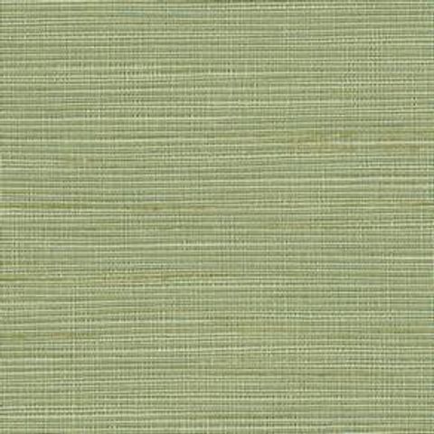 Orion Seafoam Voile Fabric