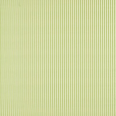 Pinetum Stripe Sap Green Upholstery Fabric
