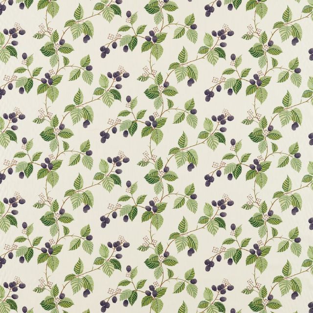 Sanderson Arboretum Fabrics Rubus Blackberry