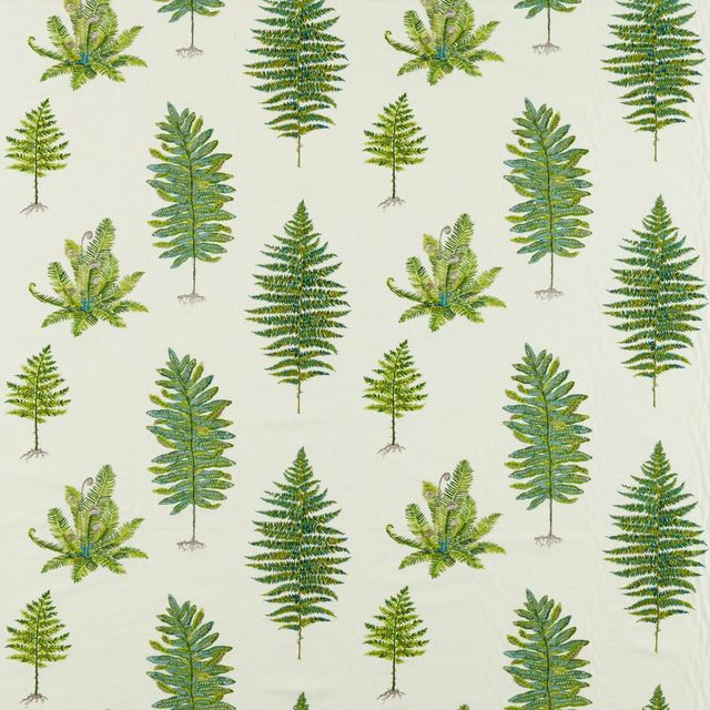 Sanderson Arboretum Fabrics Fernery Embroidery Botanical Green