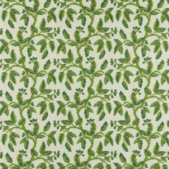 Sanderson Arboretum Fabrics Oaknut Stripe Botanical Green