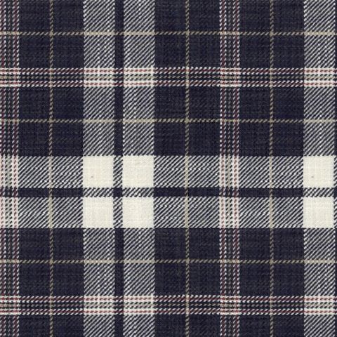 Ayr Check Dark Navy