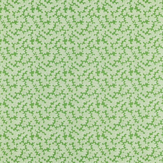 Harlequin Colour 3 Fabrics Zori Forest/First Light