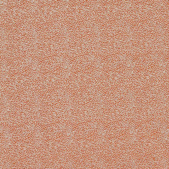 Harlequin Colour 4 Fabrics Sow Baked Terracotta/Soft Focus