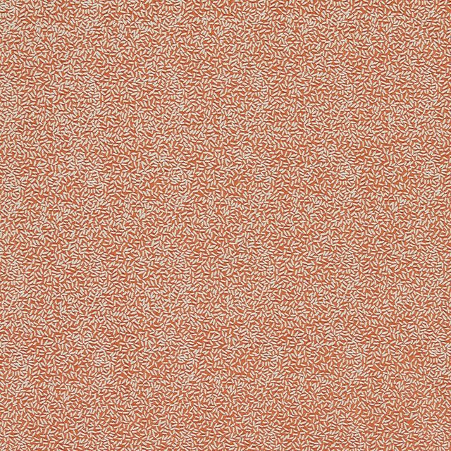 Harlequin Colour 4 Fabrics Sow Baked Terracotta/Soft Focus