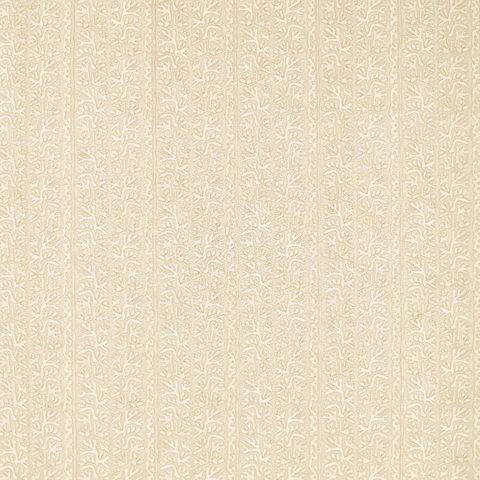 Khorol Almond/Diffused Light