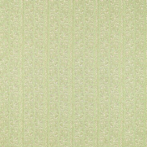 Khorol Sage/Shiitake