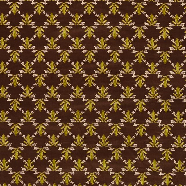 Harlequin Colour 4 Fabrics Wood Frog Velvet Chocolate/Pistachio