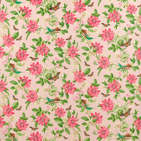 PINK LOTUS BLUSH VELVET