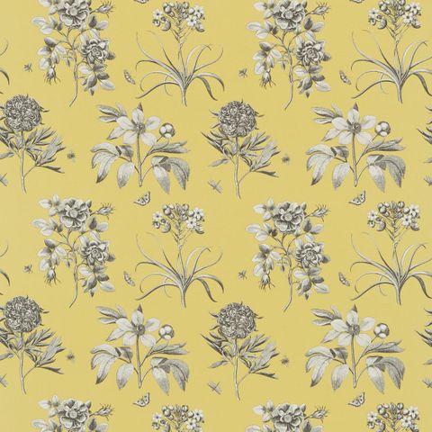 ETCHINGS & ROSES EMPIRE YELLOW Upholstery Fabric