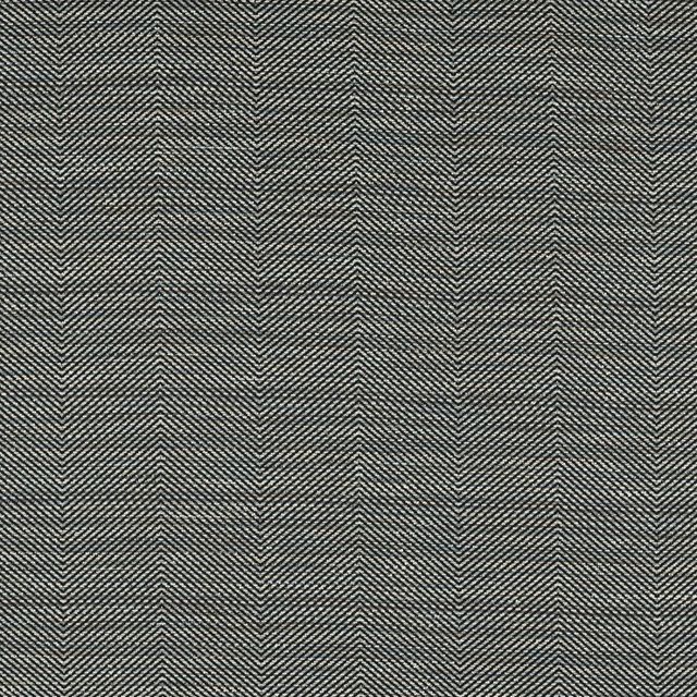 Clarke and Clarke Soren Fabric LOKI CHARCOAL