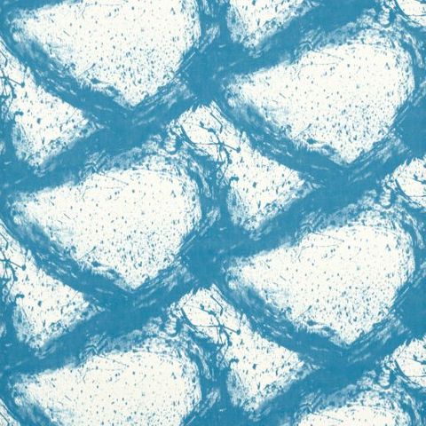 Enigmatic Sky/First Light