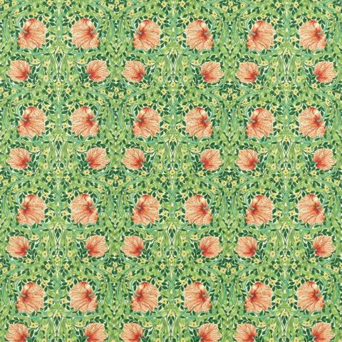 Pimpernel Shamrock/Watermelon