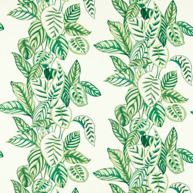 Sanderson Indoor Outdoor Prints Calathea Botanical Green