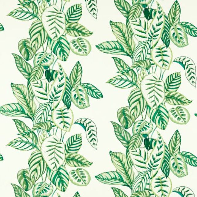 Sanderson Indoor Outdoor Prints Calathea Botanical Green Upholstery Fabric