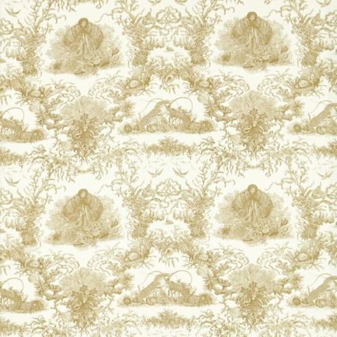 Monterey Bay Sand Dollar