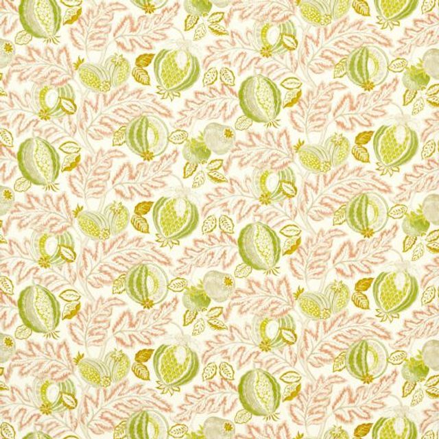 Sanderson Indoor Outdoor Prints Cantaloupe Matcha/Conch