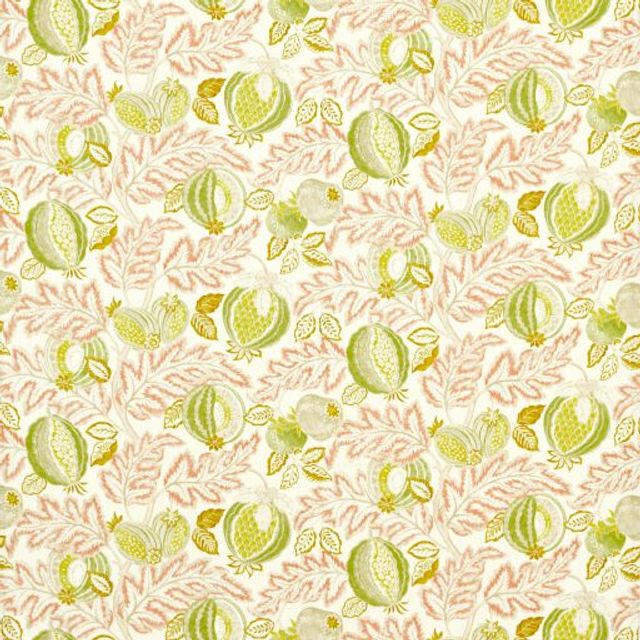 Sanderson Indoor Outdoor Prints Cantaloupe Matcha/Conch