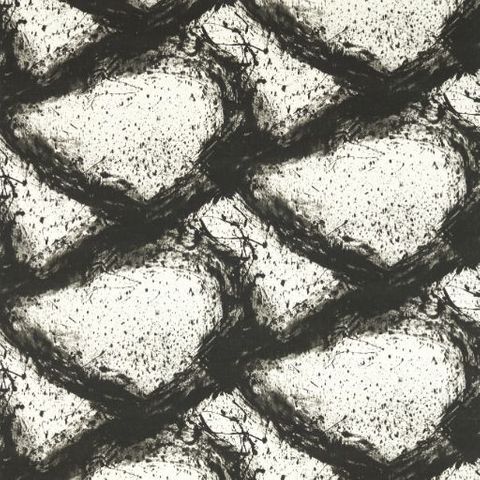 Enigmatic Black Earth Upholstery Fabric