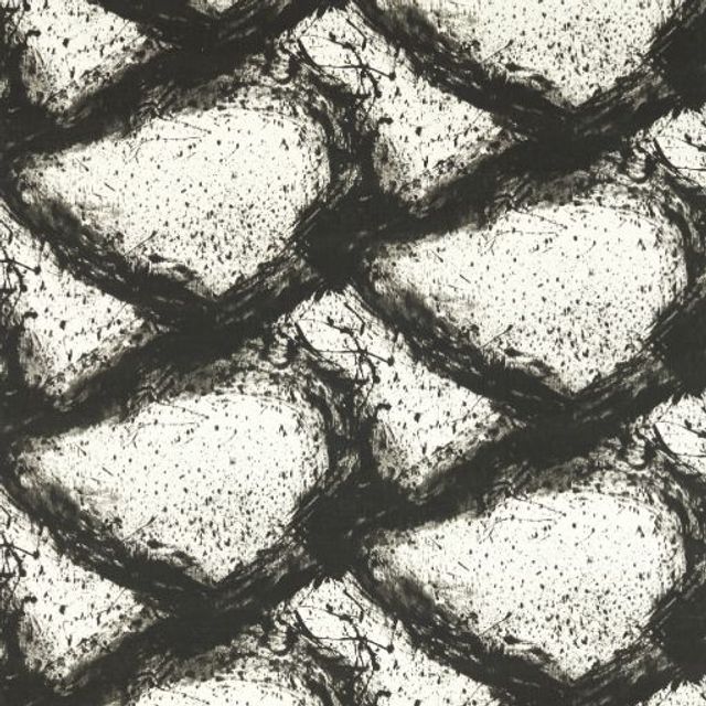 Harlequin Reflect Enigmatic Black Earth