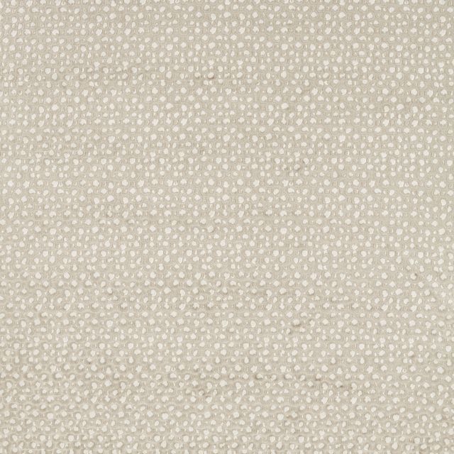 Clarke and Clarke Breegan Jane x Clarke and Clarke Pokot Linen