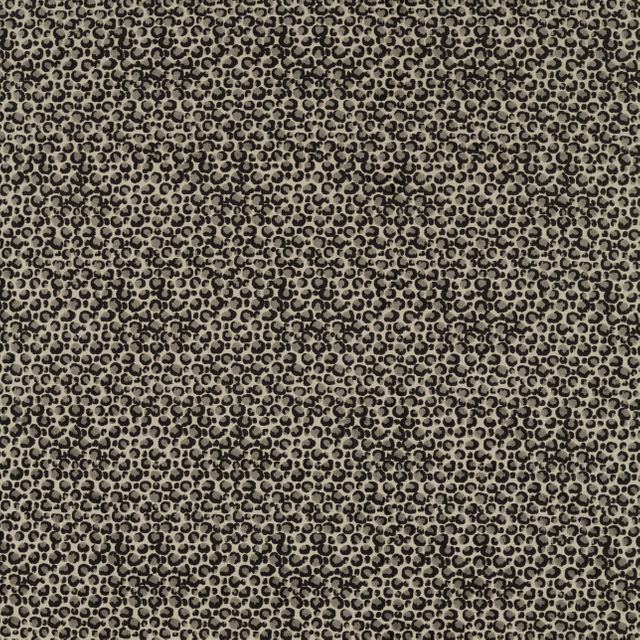 Pokot Noir Voile Fabric