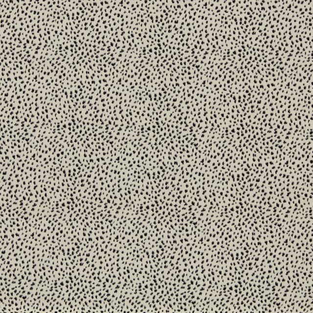 Harlequin Reflect Fawn Dalmation