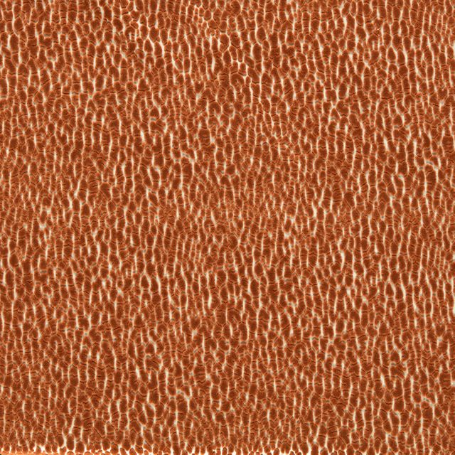 Harlequin Reflect Lacuna Tiger