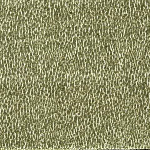 Lacuna Kelly Upholstery Fabric