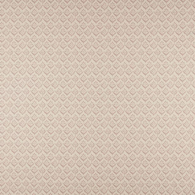 Ashley Wilde Palma Escorca Rose