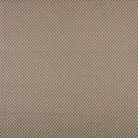 Collier Taupe Voile Fabric