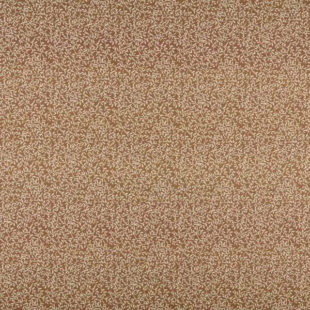 Ashley Wilde Indienne Villette Spice