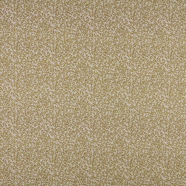 Ashley Wilde Indienne Villette Cider