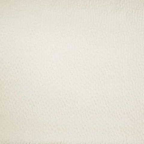 Ashley Wilde Textures II Isla Champagne Box Cushion