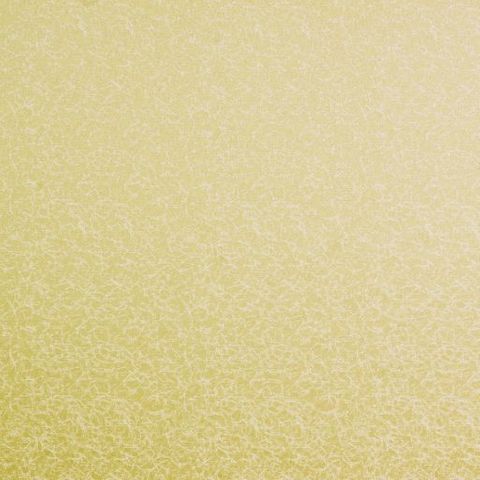 Wick Zest Voile Fabric