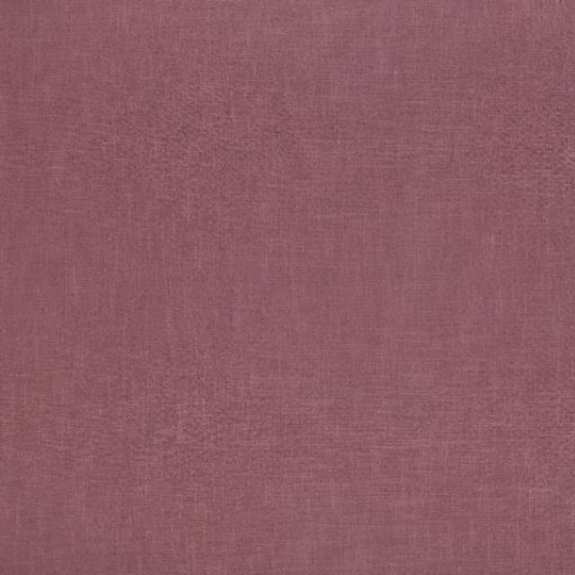 Ashley Wilde Tuscany Florenzo Rose