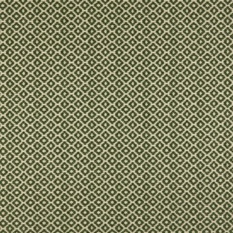 Berber Cactus Upholstery Fabric