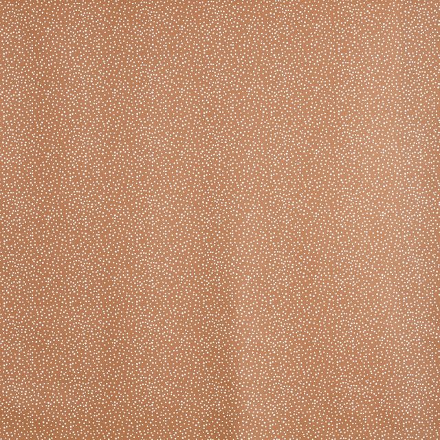 Prestigious Textiles Studio Tiny Marmalade