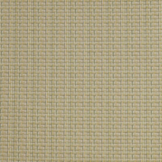 iLiv Chanterelle Mais Mint