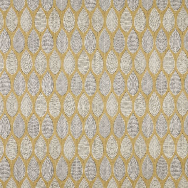 iLiv Malabar Malabar Quince