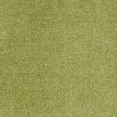 Camina Moss Upholstery Fabric