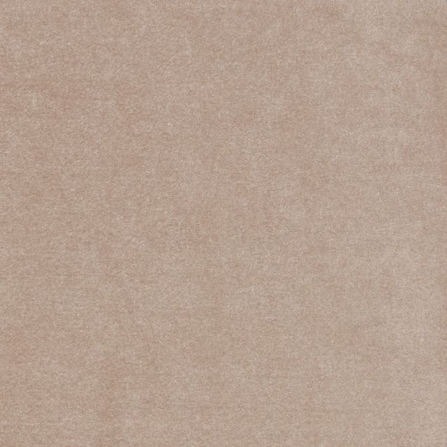 iLiv Plains & Textures 13 Camina Puce Upholstery Fabric