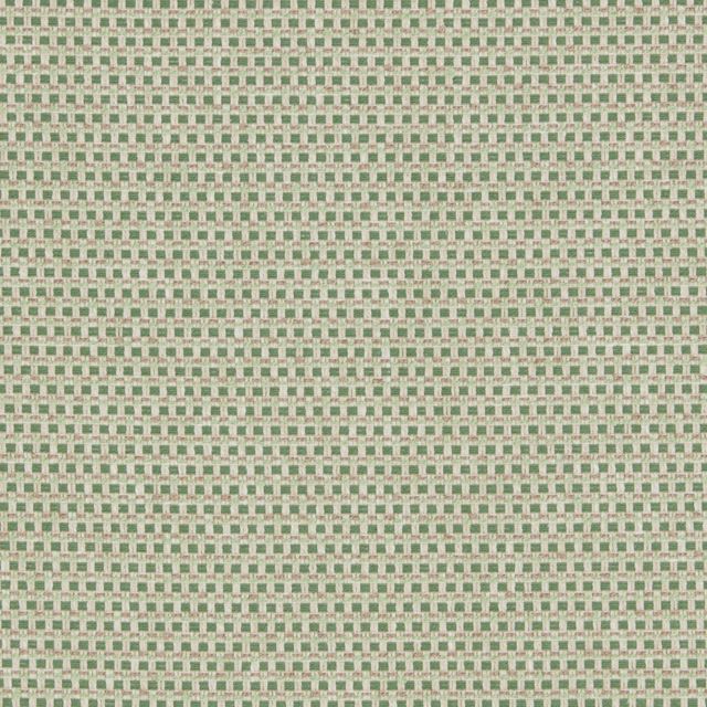 iLiv Plains & Textures 13 Kensal Sage