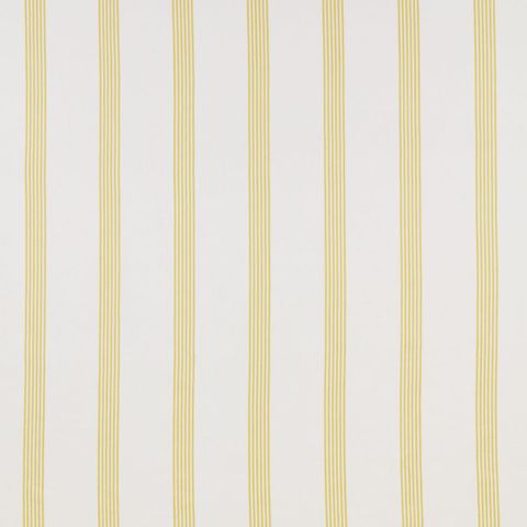 Newport Citrus Upholstery Fabric